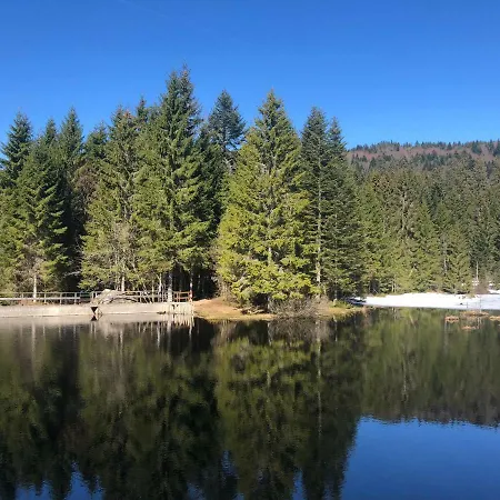 Ma Montagne Chic Apartment *