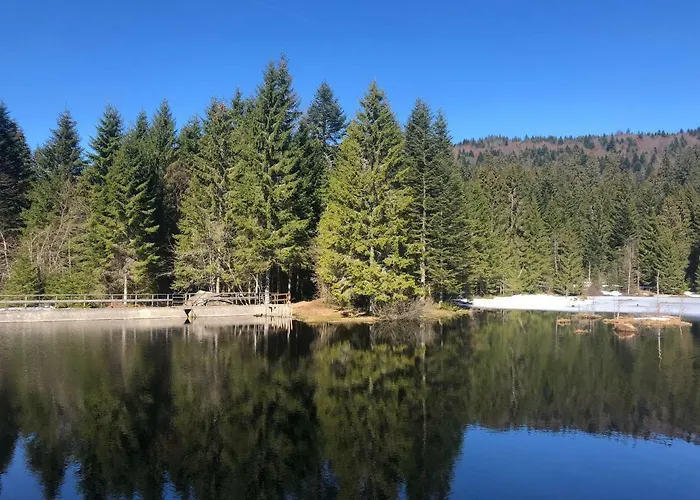 Ma Montagne Chic Appartement *